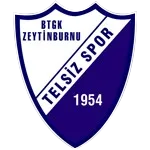 Telsizspor
