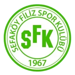 Filizspor