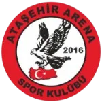 A.Arenaspor