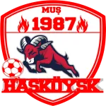 Hasköyspor